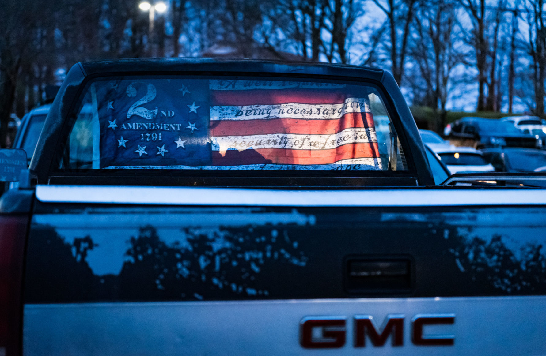 Davidson County Commissioners Gun Sanctuary